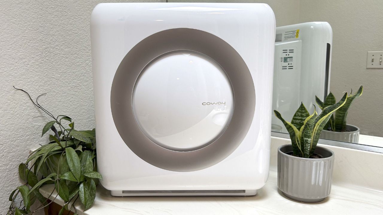 Best Products Ranked for Low Maintenance: Top Picks